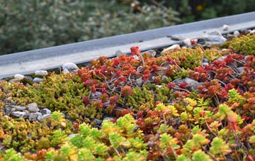 the cost of Osmington Mills green roof installation