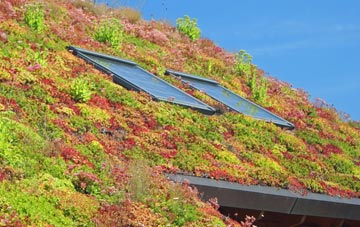 Osmington Mills living roof systems