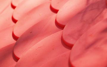 Osmington Mills plastic roof costs