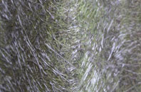 Osmington Mills fibreglass roof work